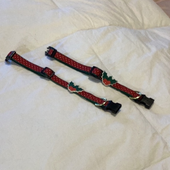 Dog or Cat Collars. - Picture 3 of 3